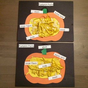 tpt-parts-of-a-pumpkin